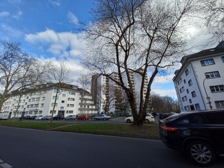 Koeln Zollstock